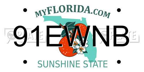 91EWNB Florida License Plate