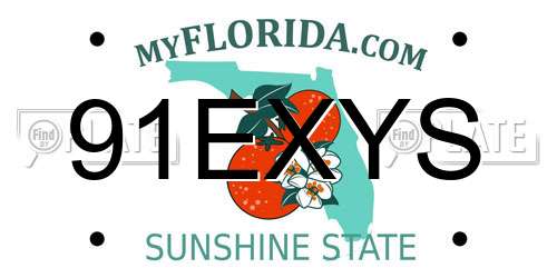 91EXYS Florida License Plate