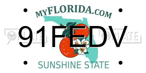 91FEDV Florida License Plate