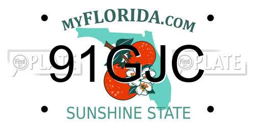 91GJC Florida License Plate