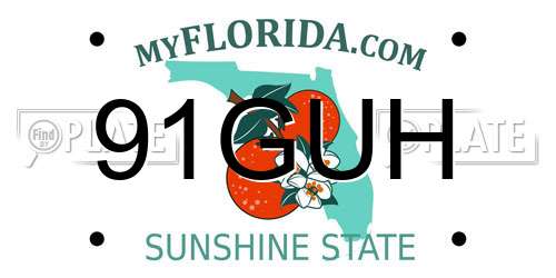91GUH Florida License Plate