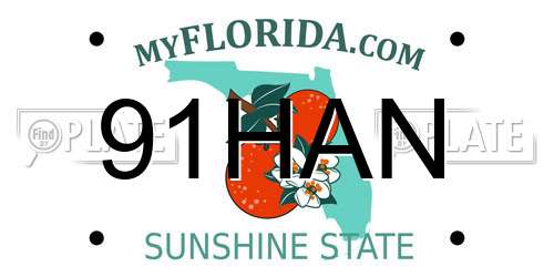 91HAN Florida License Plate