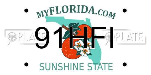 91HFI Florida License Plate