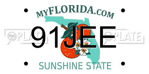 91JEE Florida License Plate