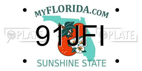 91JFI Florida License Plate