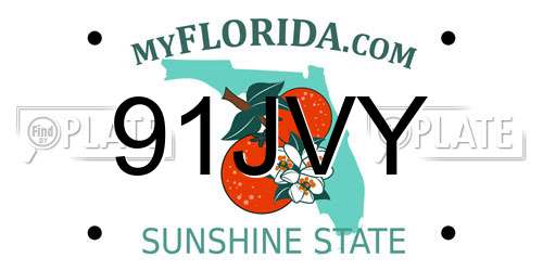 91JVY Florida License Plate