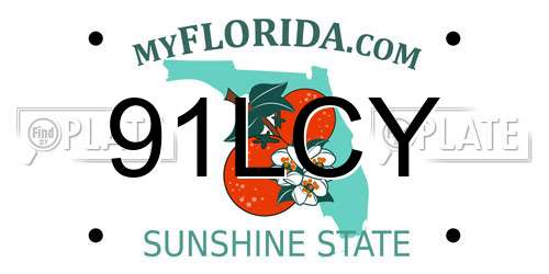 91LCY Florida License Plate