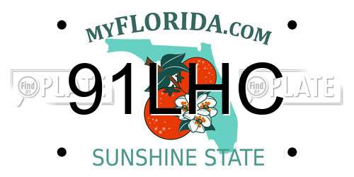 91LHC Florida License Plate