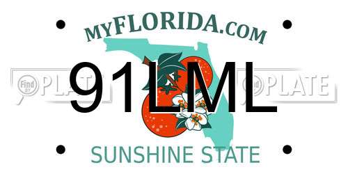 91LML Florida License Plate