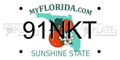 91NKT Florida License Plate