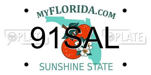 91SAL Florida License Plate