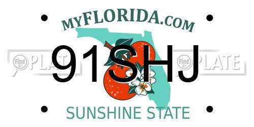 91SHJ Florida License Plate