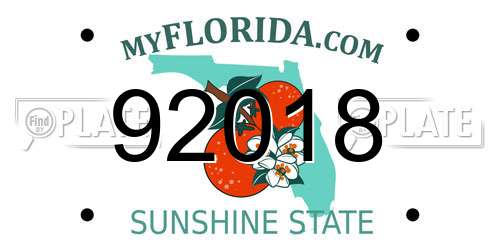 92018 Florida License Plate