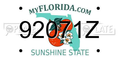 92071Z Florida License Plate