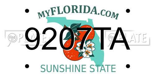 9207TA Florida License Plate