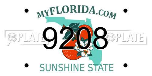 9208 Florida License Plate