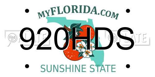920HDS Florida License Plate