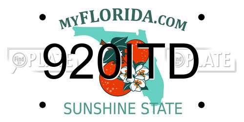 920ITD Florida License Plate