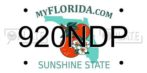 920NDP Florida License Plate