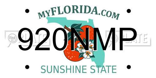 920NMP Florida License Plate