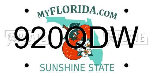 920QDW Florida License Plate