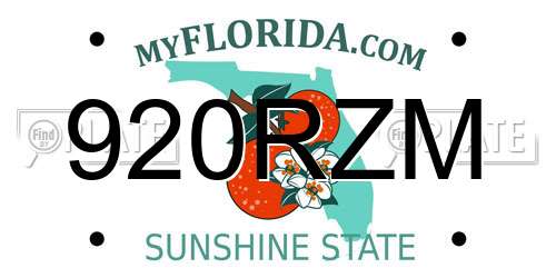 920RZM Florida License Plate
