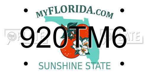 920TM6 Florida License Plate
