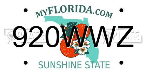 920WWZ Florida License Plate