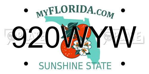 920WYW Florida License Plate
