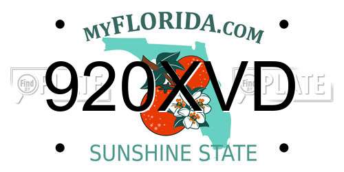 920XVD Florida License Plate