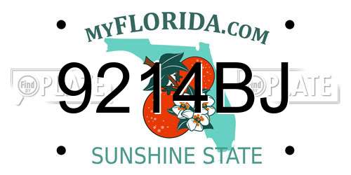 9214BJ Florida License Plate