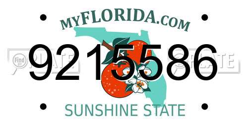 9215586 Florida License Plate