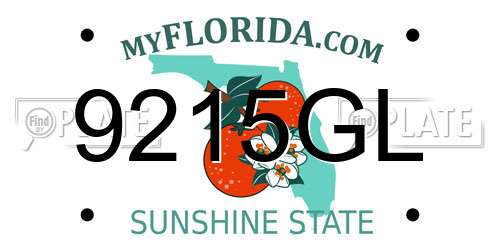 9215GL Florida License Plate