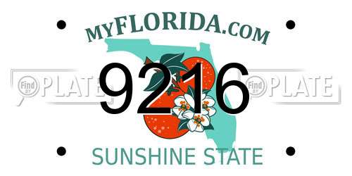 9216 Florida License Plate