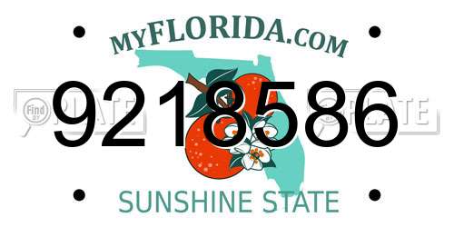 9218586 Florida License Plate