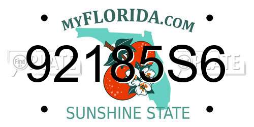 92185S6 Florida License Plate
