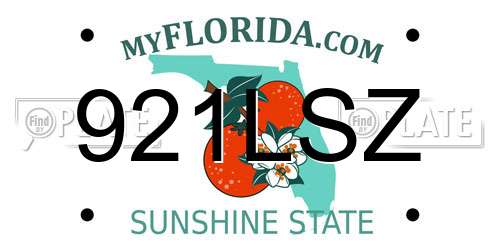 921LSZ Florida License Plate