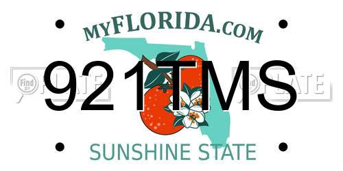 921TMS Florida License Plate