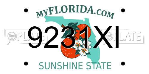 9231XI Florida License Plate