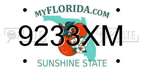 9233XM Florida License Plate