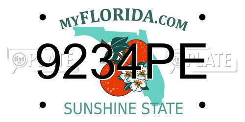 9234PE Florida License Plate