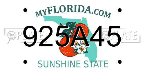 925A45 Florida License Plate