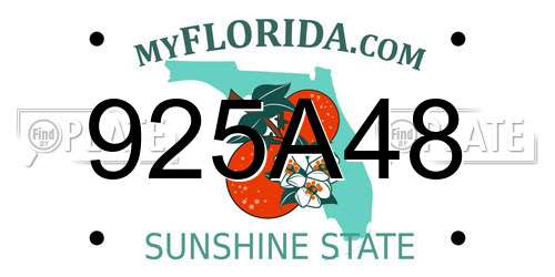 925A48 Florida License Plate