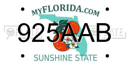 925AAB Florida License Plate
