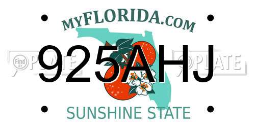925AHJ Florida License Plate