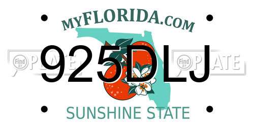 925DLJ Florida License Plate