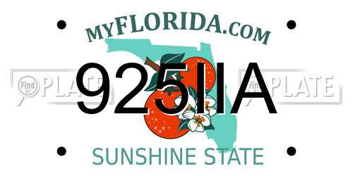 925IIA Florida License Plate
