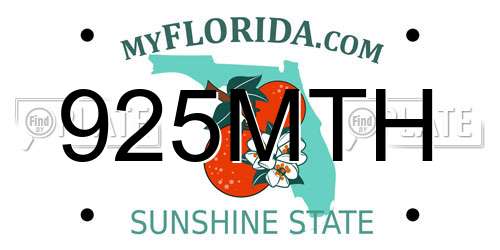 925MTH Florida License Plate