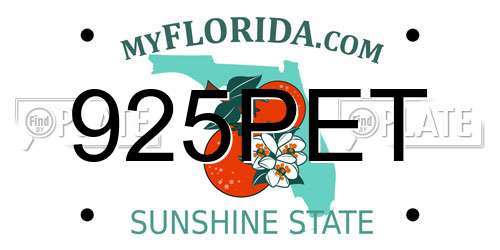 925PET Florida License Plate