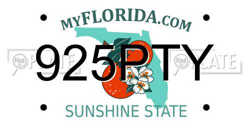 925PTY Florida License Plate